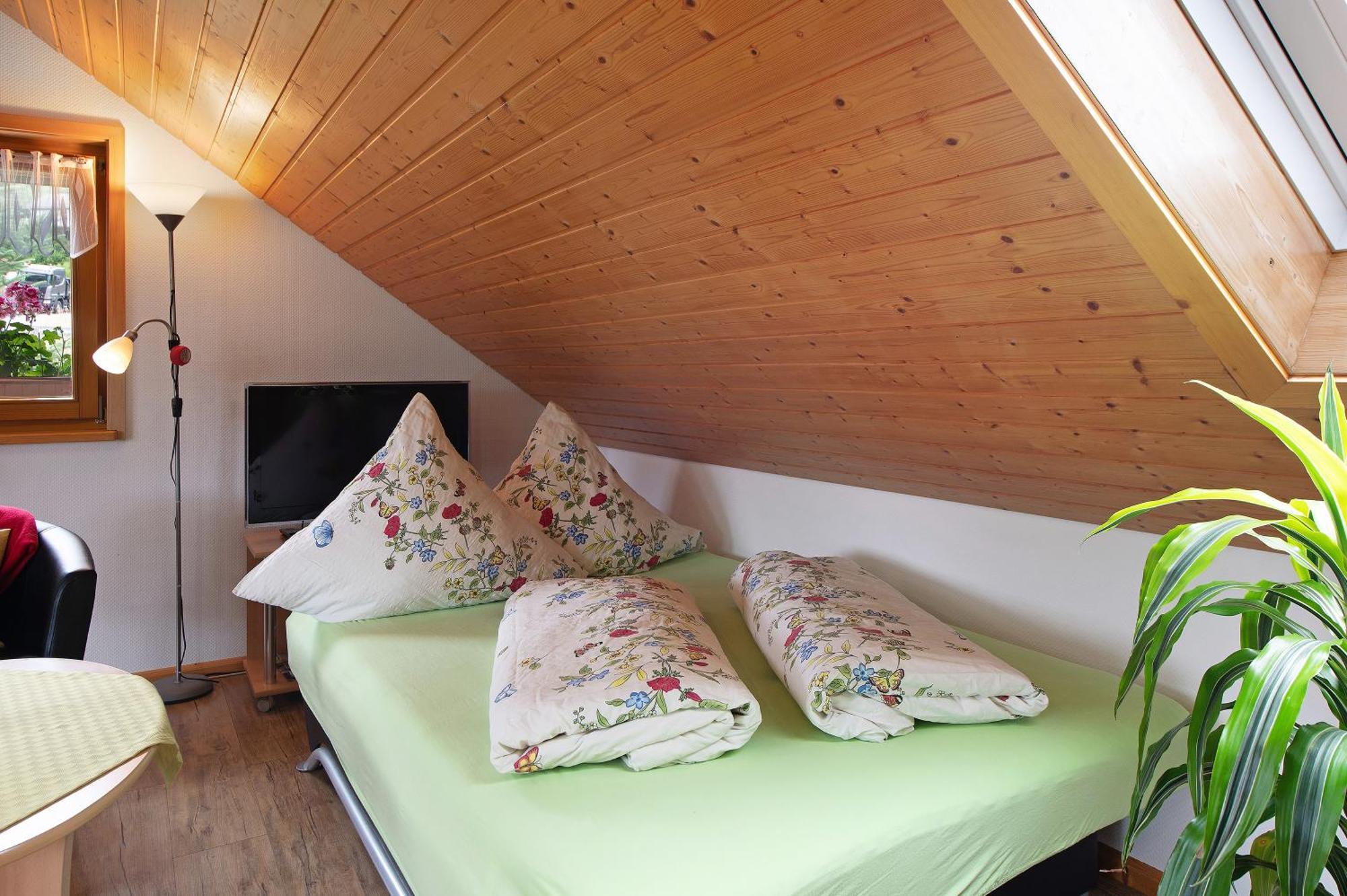 Ferienwohnung Blasi Mit Alpensicht Ibach Екстериор снимка